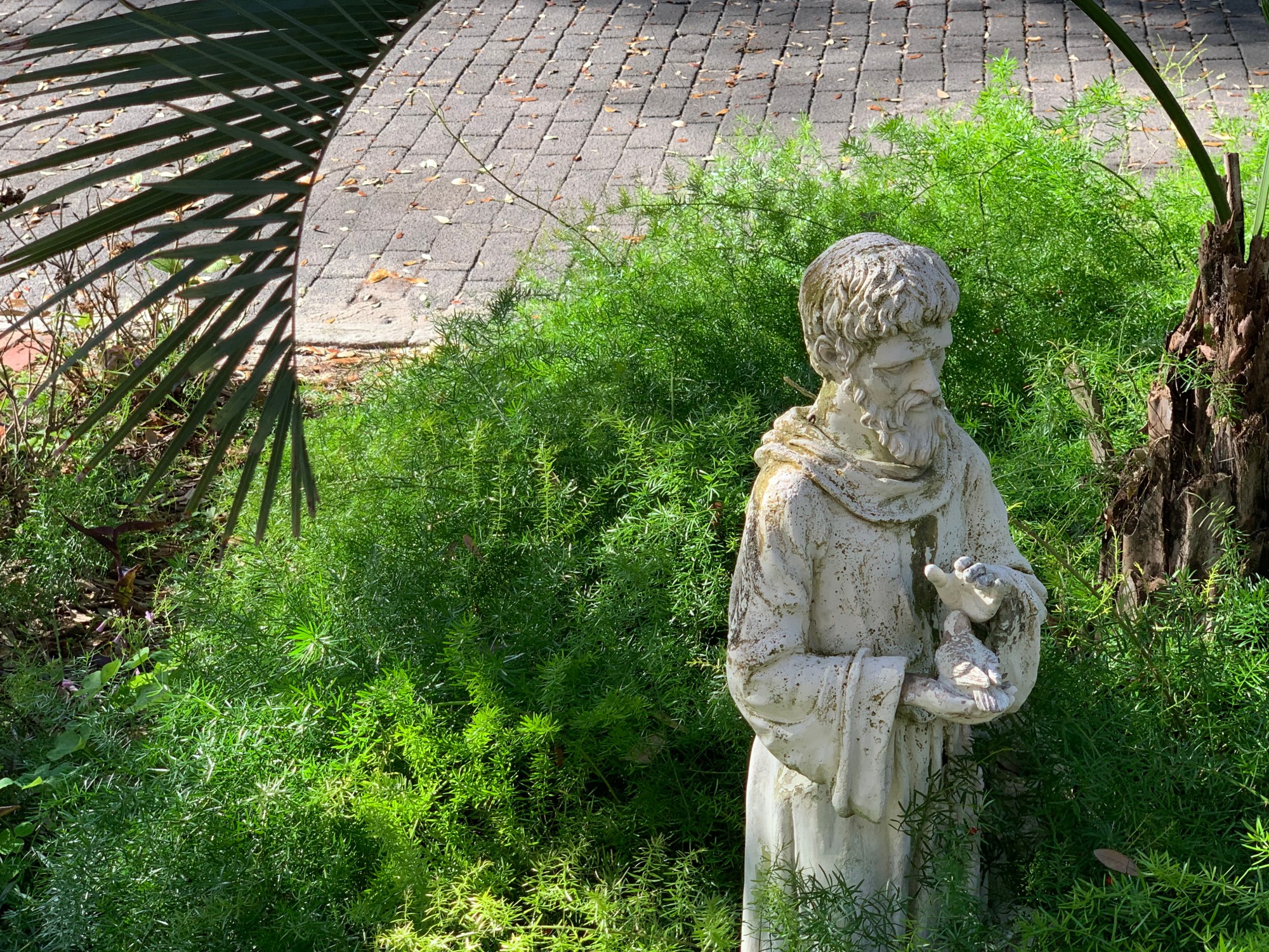 IMG_0369 a statue in a garden