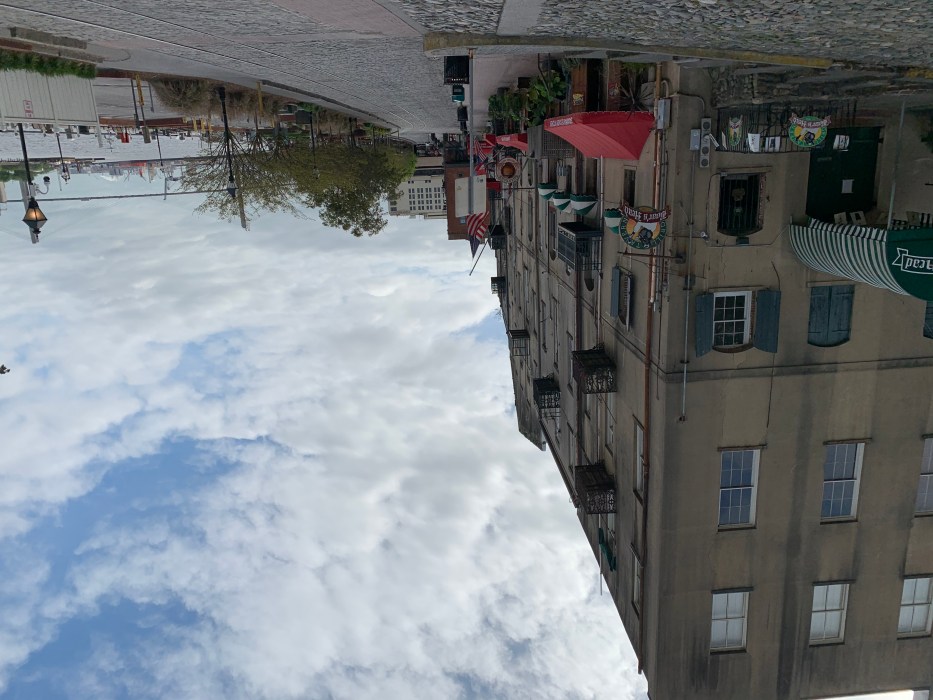 COVID19 Southern Flavors Savannah